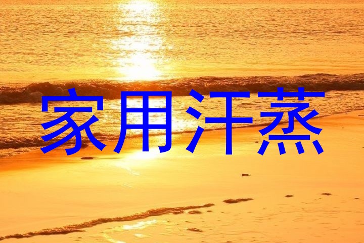 家用汗蒸