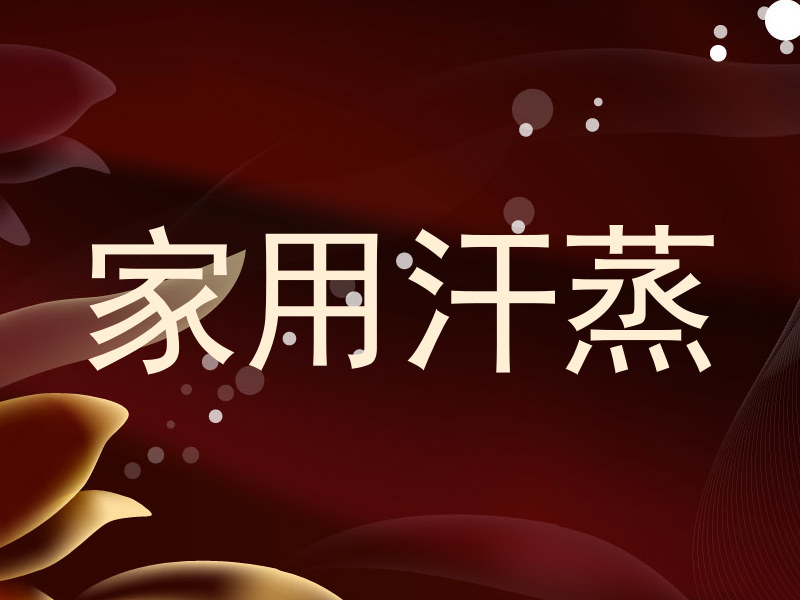 家用汗蒸