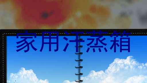 家用汗蒸箱