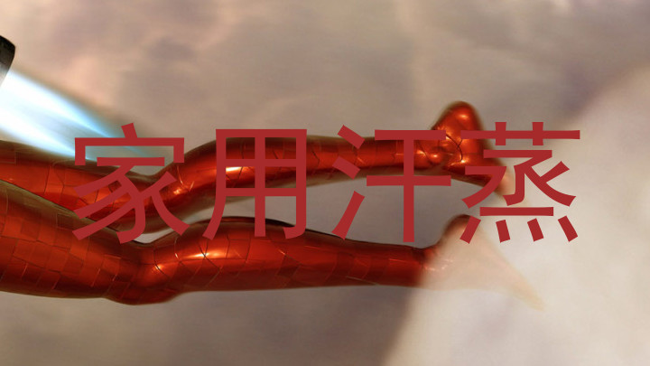 家用汗蒸