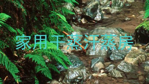 家用干蒸汗蒸房