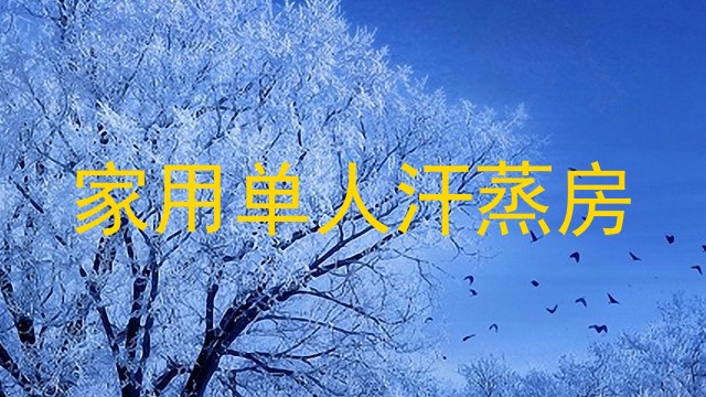 家用单人汗蒸房
