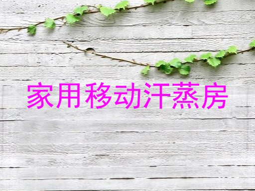 家用移动汗蒸房