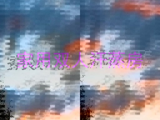 家用双人汗蒸房