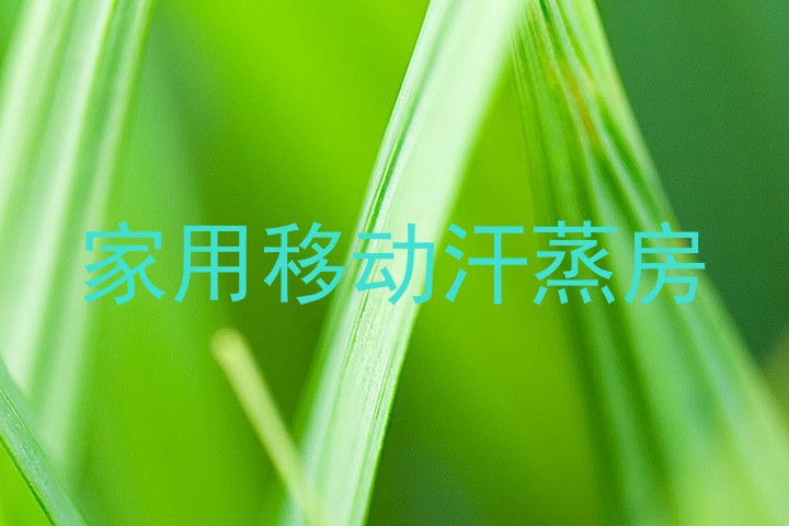 家用移动汗蒸房