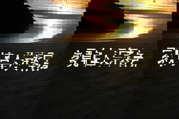 家用单人汗蒸房