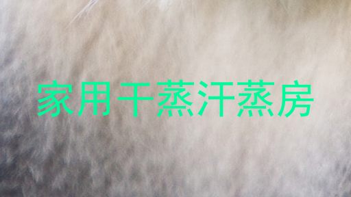 家用干蒸汗蒸房