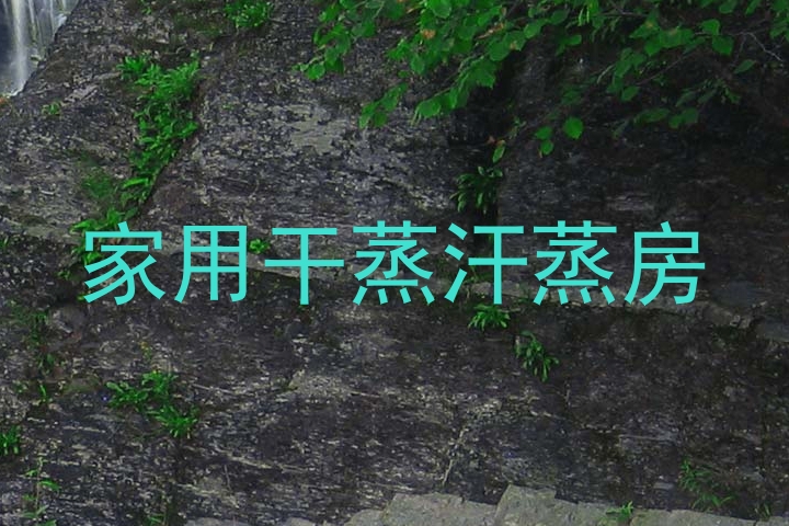 家用干蒸汗蒸房