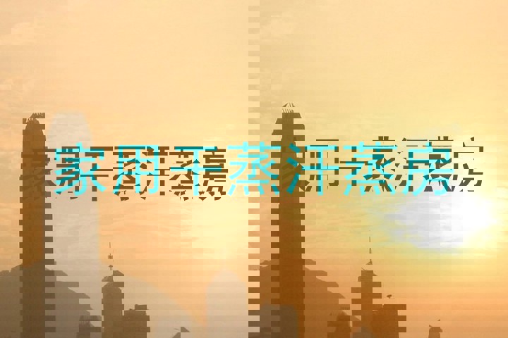 家用干蒸汗蒸房