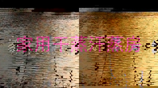 家用干蒸汗蒸房