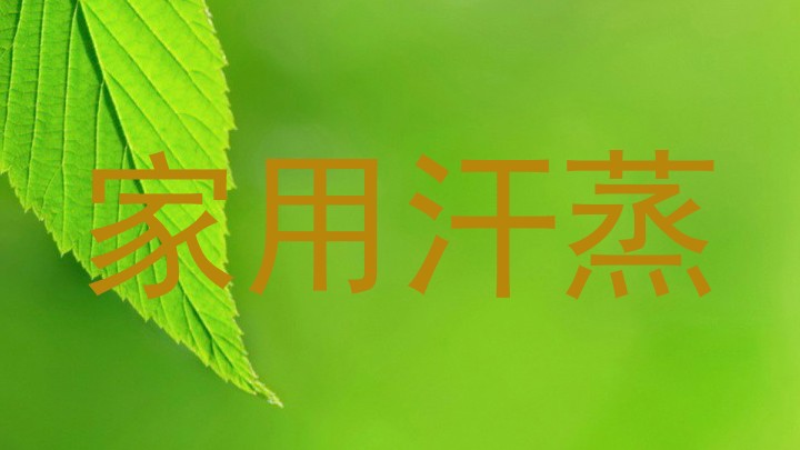 家用汗蒸