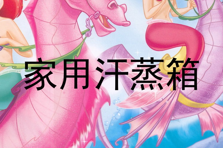 家用汗蒸箱