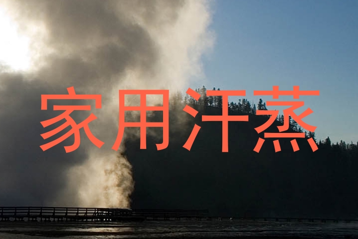 家用汗蒸