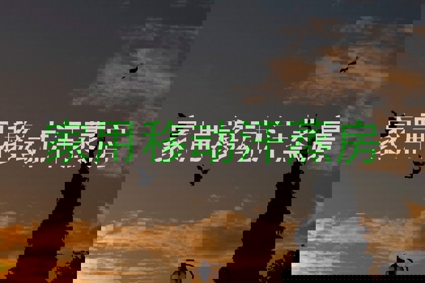 家用移动汗蒸房