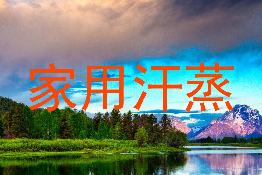家用汗蒸