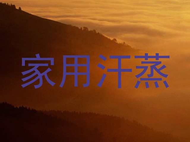 家用汗蒸