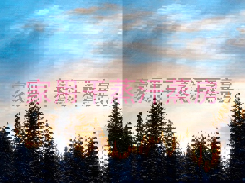 家用干蒸汗蒸房