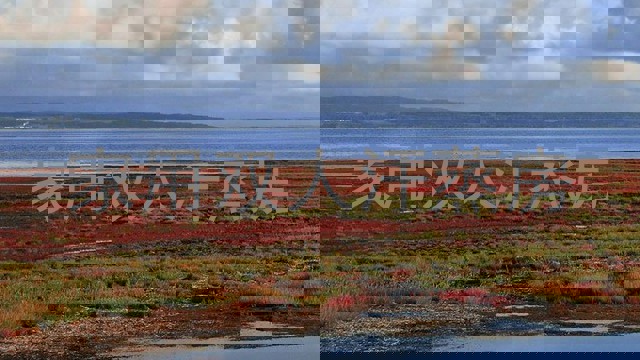 家用双人汗蒸房