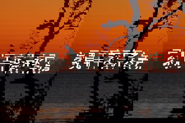 家用干蒸汗蒸房