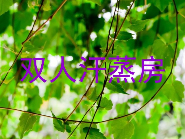 双人汗蒸房