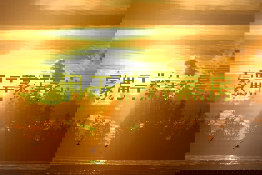 家用干蒸汗蒸房