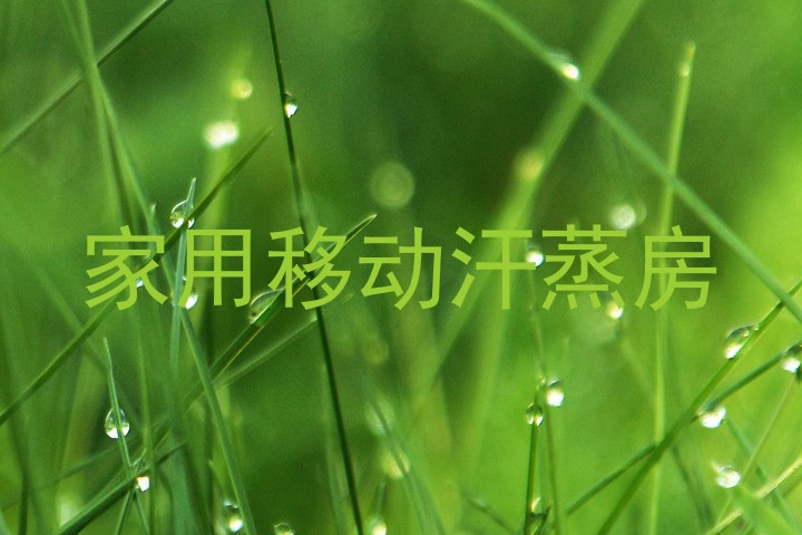 家用移动汗蒸房