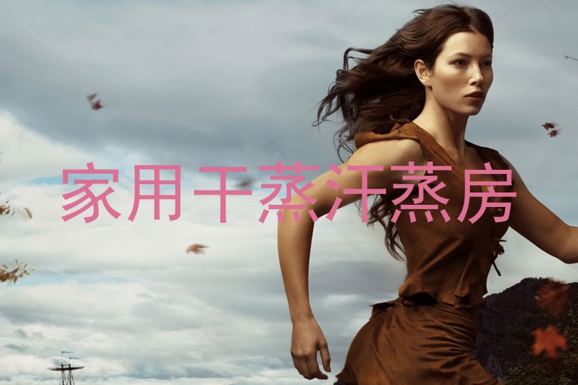 家用干蒸汗蒸房