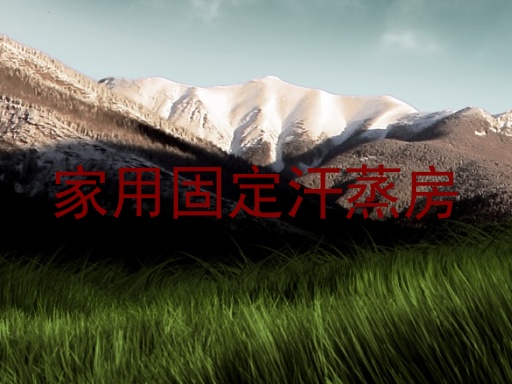 家用固定汗蒸房