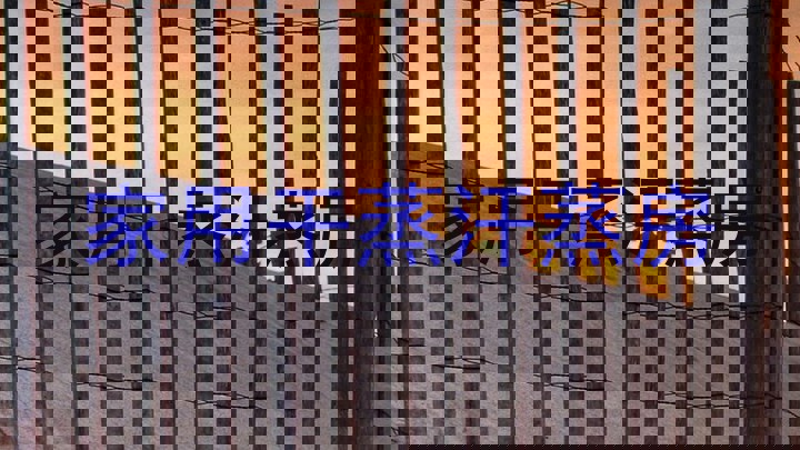 家用干蒸汗蒸房