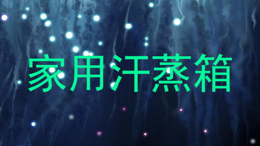 家用汗蒸箱