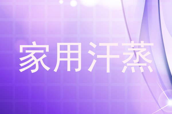 家用汗蒸
