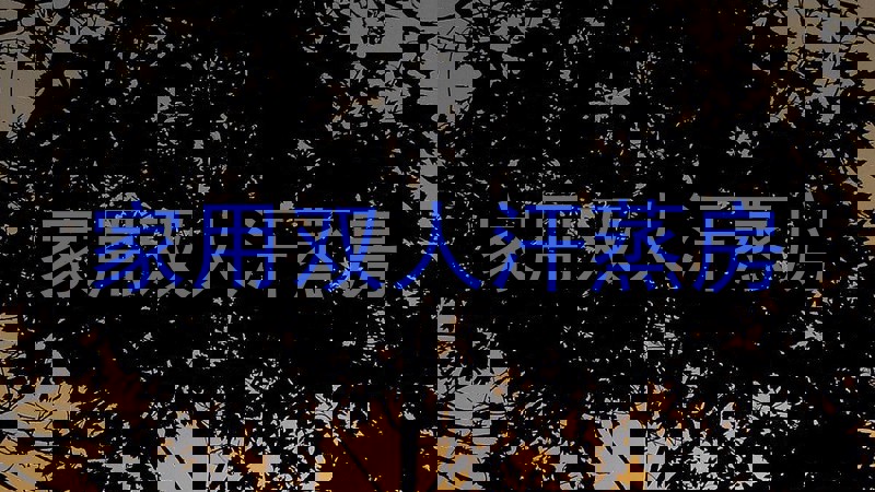 家用双人汗蒸房