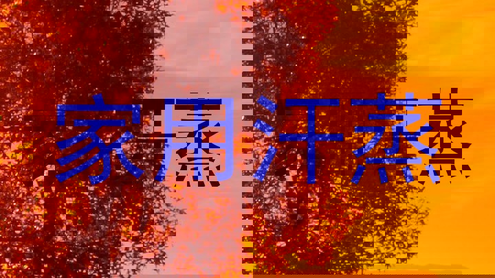 家用汗蒸