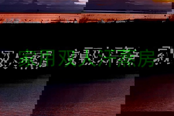 家用双人汗蒸房