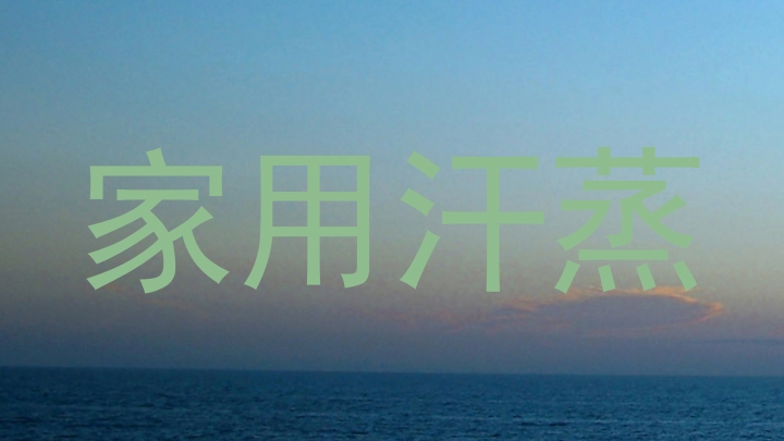 家用汗蒸