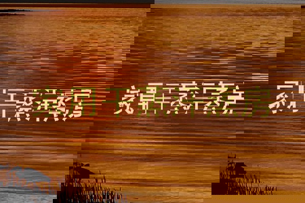 家用干蒸汗蒸房