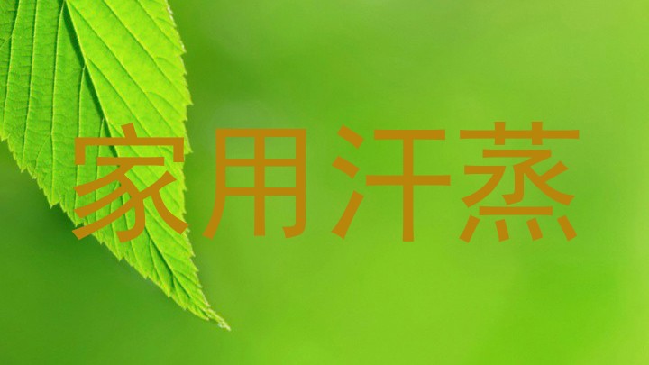 家用汗蒸