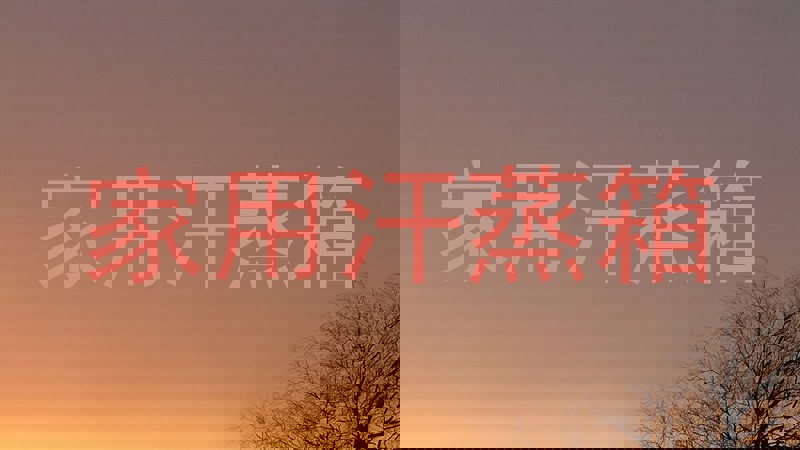 家用汗蒸箱