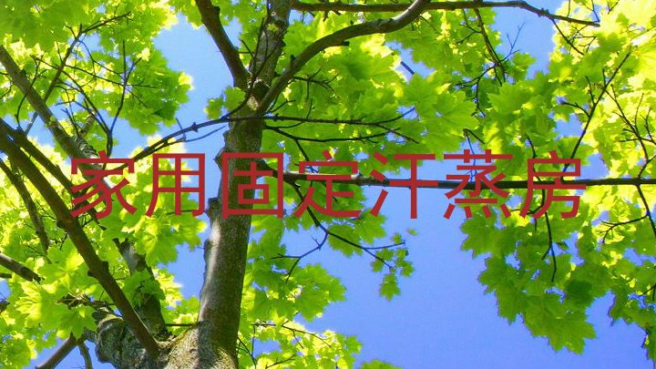 家用固定汗蒸房