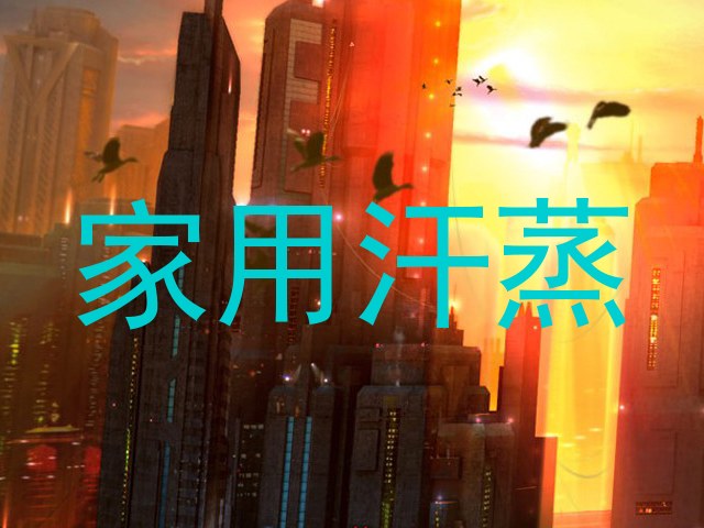 家用汗蒸