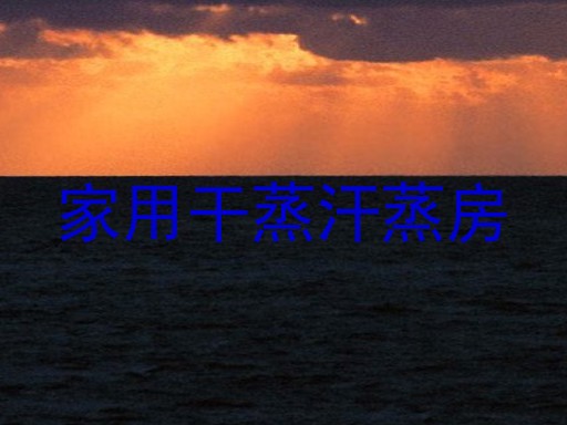 家用干蒸汗蒸房