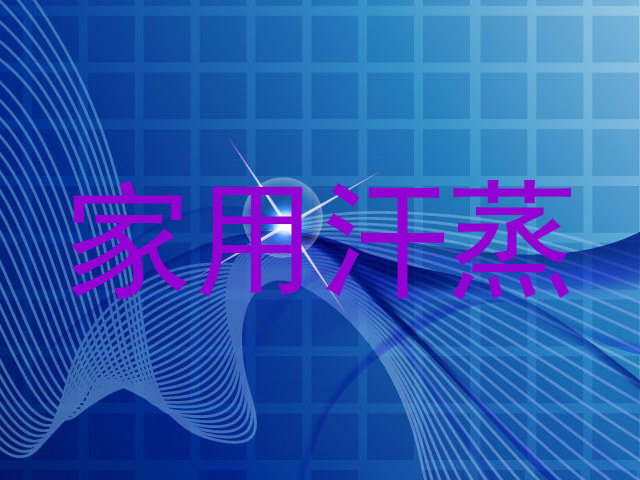 家用汗蒸