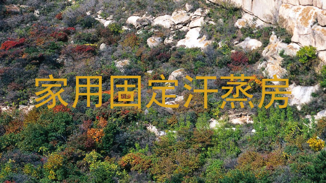 家用固定汗蒸房