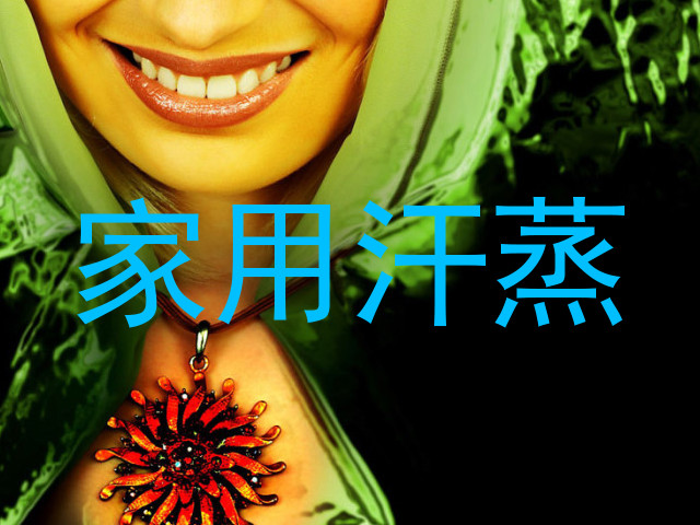 家用汗蒸
