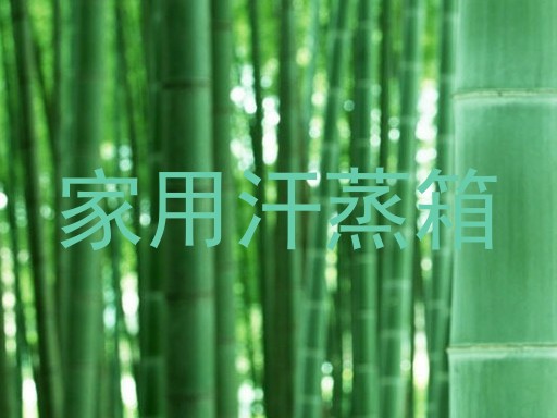 家用汗蒸箱