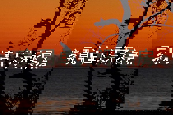 家用单人汗蒸房