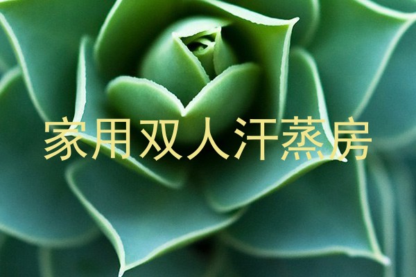 家用双人汗蒸房