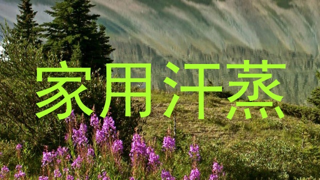 家用汗蒸