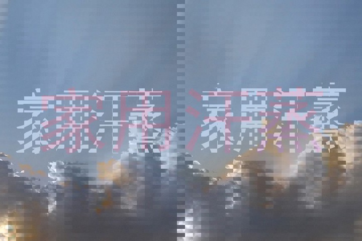 家用汗蒸