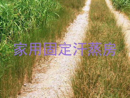 家用固定汗蒸房